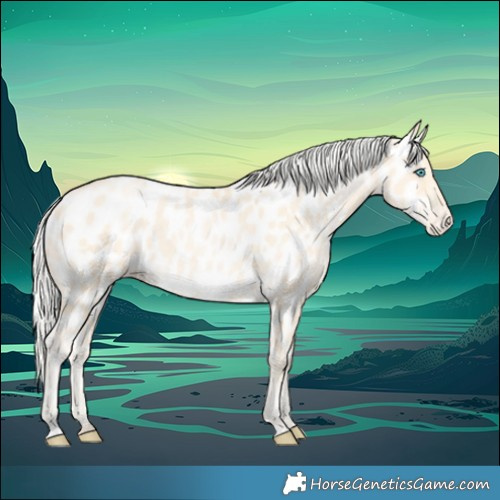 Horse Color:Silver Buckskin Pearl Near Leopard 