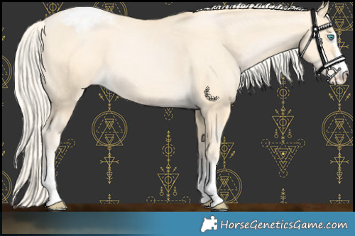 Horse Color:Palomino Pearl Varnish