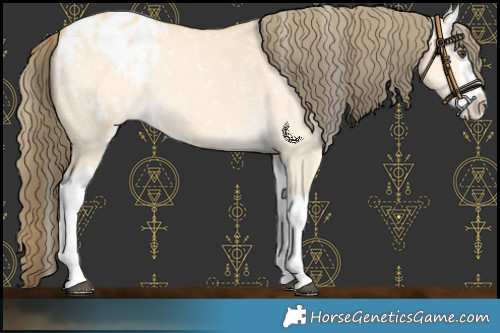 Horse Color:Buckskin Dun Splash Blanket