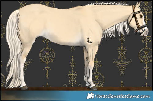 Horse Color:Palomino Dun Splash 