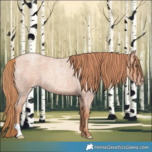 Horse Color:Gold Champagne Roan 