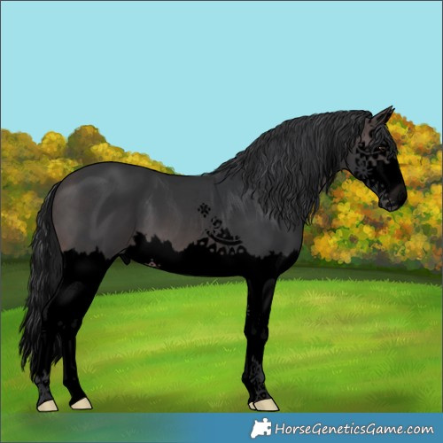 Horse Color:Void Platinum Brown Splash