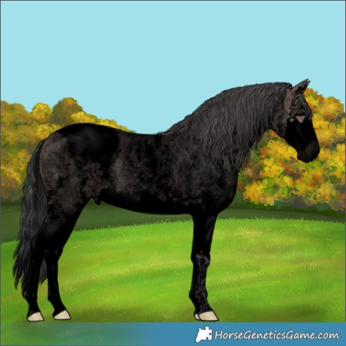 Horse Color:Void Platinum Bay Roan Sabino Splash Snowcap 