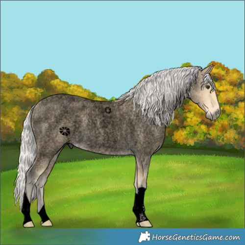 Horse Color:Void Silver Buckskin Roan 