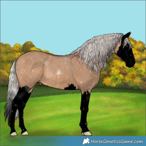 Horse Color:Void Silver Bay Dun Splash