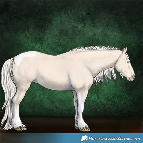 Horse Color:Cremello Tobiano 