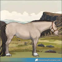 Horse Color:Sable Champagne Dun 