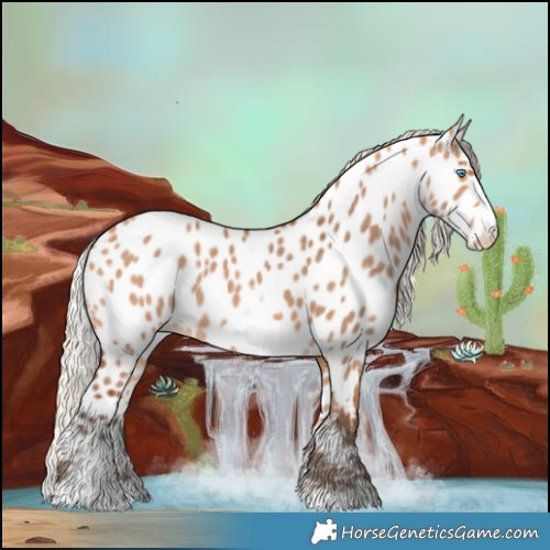 Horse Color:Silver Bay Dun Sabino Frame Near Leopard Rabicano