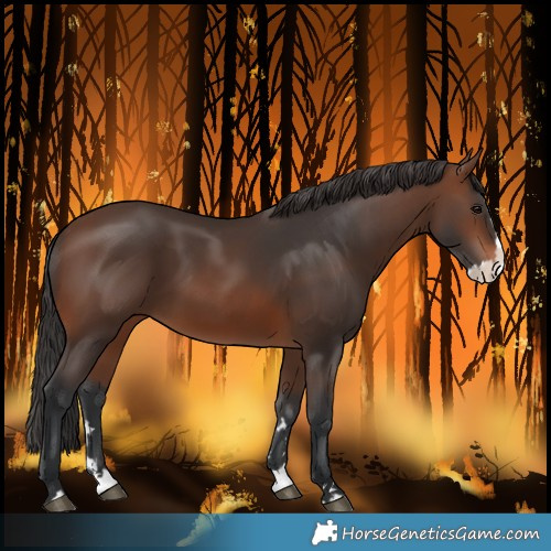 Horse Color:Brown Splash