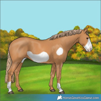 Horse Color:Chestnut Frame 