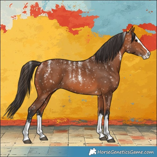 Horse Color:Powder White Bay Splash Snowflake Varnish 
