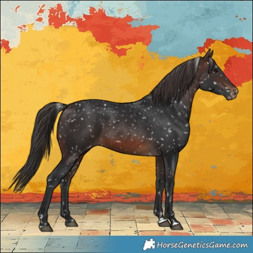 Horse Color:Brown Snowflake Varnish