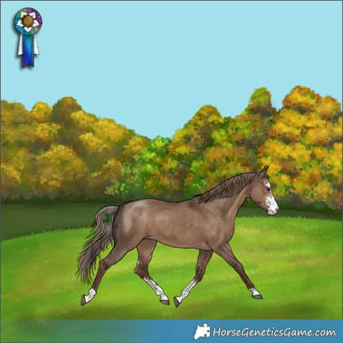 Horse Color:Liver Red Dun Sabino 