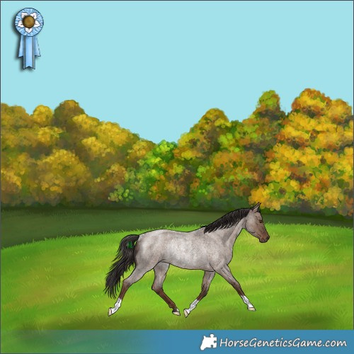 Horse Color:Liver Red Dun Roan Rabicano 