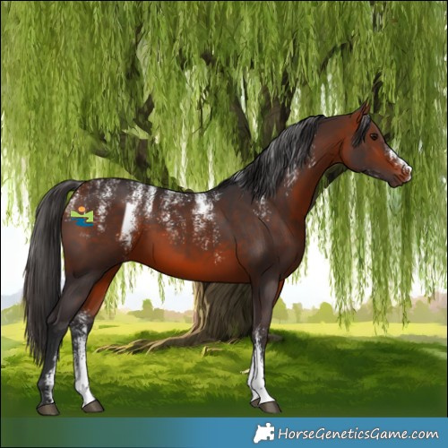 Horse Color:Powder White Bay