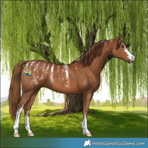 Horse Color:Powder White Gray Chestnut 