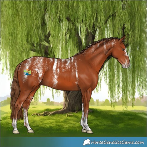 Horse Color:Powder White Chestnut