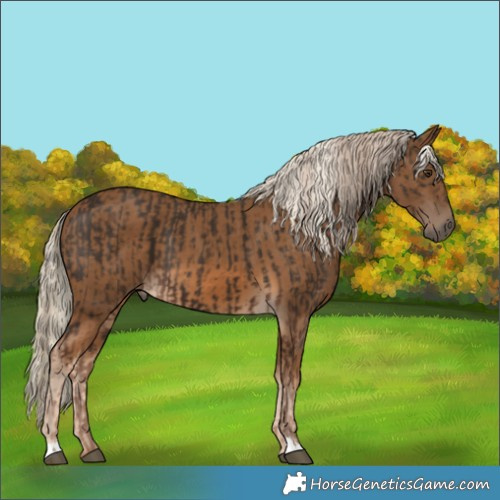 Horse Color:Liver Chestnut and Chocolate Palomino