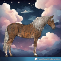 Horse Color:Liver Chestnut  and Chocolate Palomino 