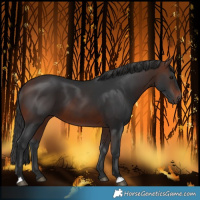 Horse Color:Brown 
