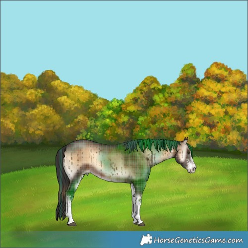 Horse Color:Plaid White Spotted Liver Red Onyx