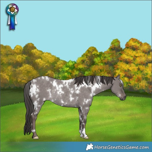 Horse Color:Platinum White Spotted Liver Red Dun Rabicano 