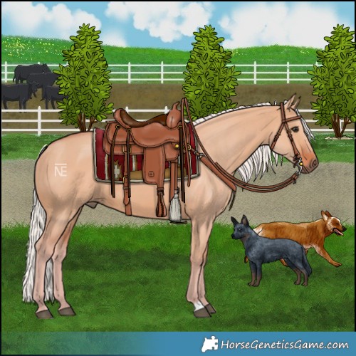 Horse Color:Silver Brown Dun 