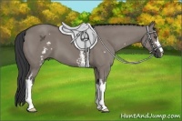 Horse Color:White Spotted Grullo Frame 
