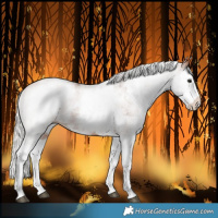 Horse Color:White Spotted Silver Brown Splash