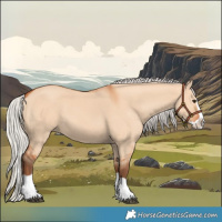 Horse Color:Silver Bay Dun Splash 