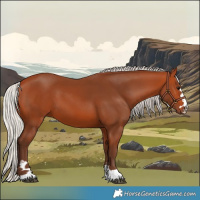 Horse Color:Silver Bay