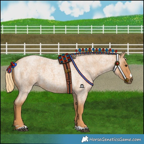 Horse Color:Red Roan