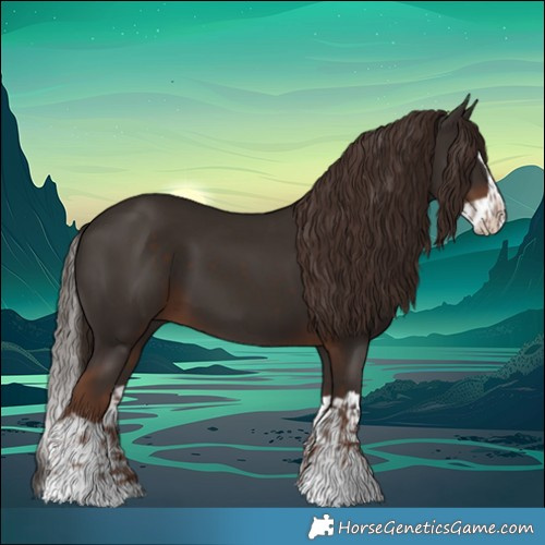 Horse Color:Liver Chestnut and Liver Chestnut Splash