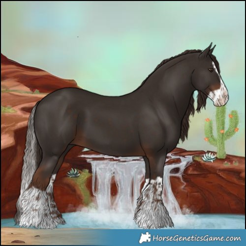 Horse Color:Liver Chestnut  and Liver Chestnut Splash 