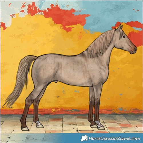 Horse Color:Liver Red Dun Brindle 