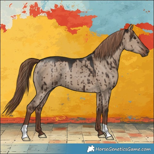 Horse Color:Liver Red Dun Brindle