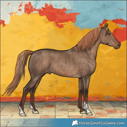 Horse Color:Liver Red Dun Brindle