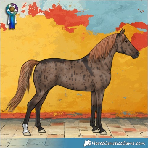 Horse Color:Liver Red Dun Brindle 