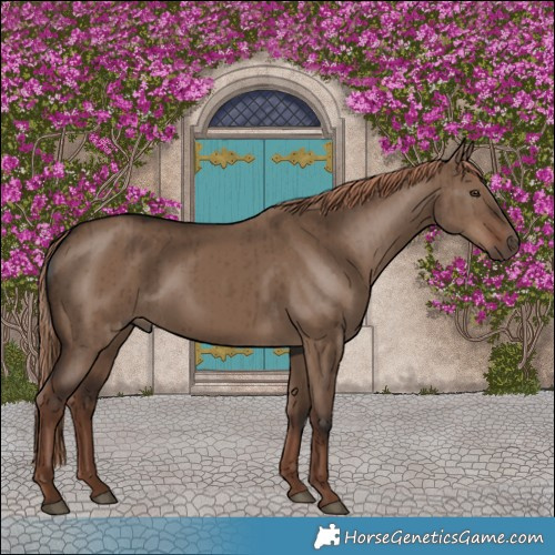 Horse Color:Liver Red Dun Brindle