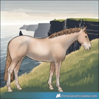 Horse Color:Gold Champagne Pearl Rabicano  and Gold Champagne Pearl Rabicano 