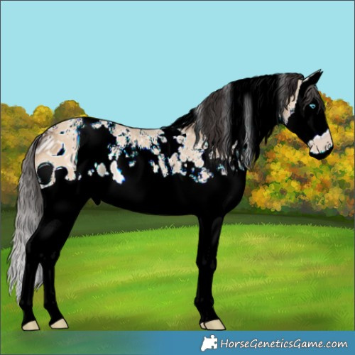 Horse Color:ERROR: UNKNOWN ANOMALY