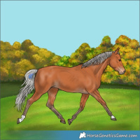 Horse Color:Silver Bay