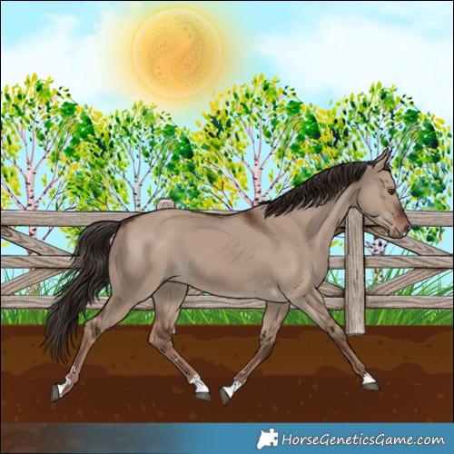 Horse Color:Liver Red Dun 