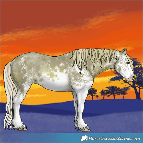 Horse Color:Watercolor White Spotted Chestnut Splash Rabicano
