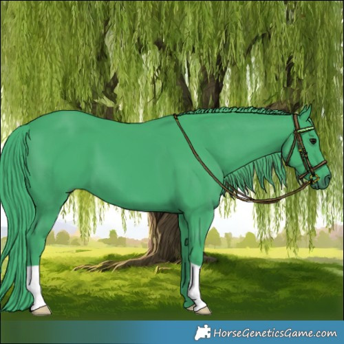 Horse Color:Watercolor Black 