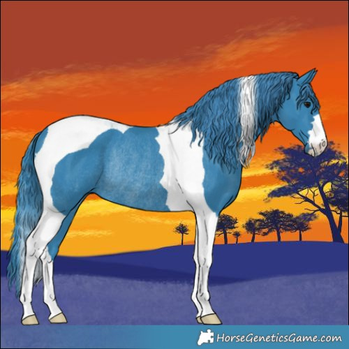 Horse Color:Watercolor Black Tobiano Rabicano