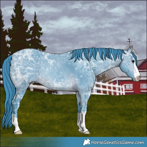 Horse Color:Watercolor Bay Ice 