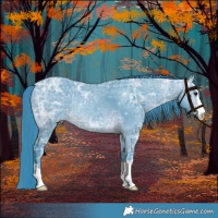 Horse Color:Watercolor Bay Ice 