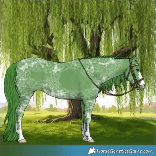 Horse Color:Watercolor Black Ice 