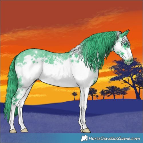 Horse Color:Watercolor White Spotted Blue Roan Frame 